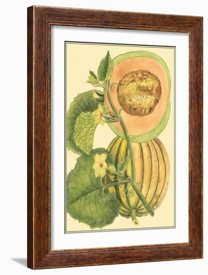 Exotic Melons IV-Vision Studio-Framed Art Print