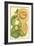 Exotic Melons IV-Vision Studio-Framed Art Print