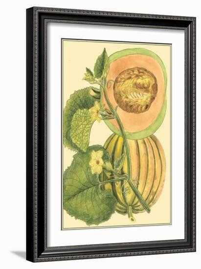 Exotic Melons IV-Vision Studio-Framed Art Print