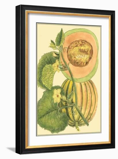 Exotic Melons IV-Vision Studio-Framed Art Print