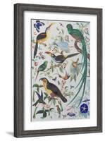 Exotic Parrots, c.1850-John James Audubon-Framed Giclee Print