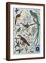 Exotic Parrots, c.1850-John James Audubon-Framed Giclee Print