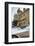 Exotic Sports Car Outside Casino De Monte-Carlo, Monaco, Europe-Amanda Hall-Framed Photographic Print