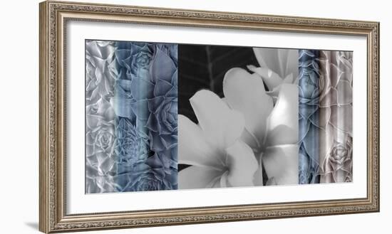 Exotica Frangipani-Tony Koukos-Framed Giclee Print