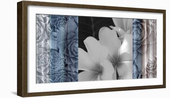 Exotica Frangipani-Tony Koukos-Framed Giclee Print