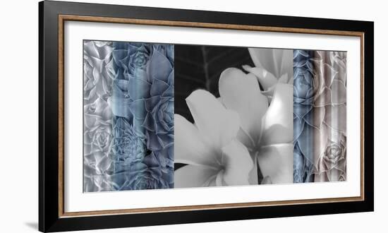 Exotica Frangipani-Tony Koukos-Framed Giclee Print