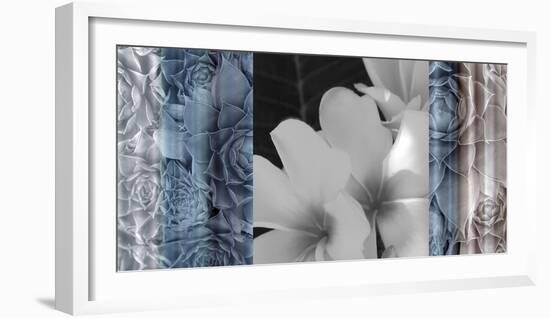 Exotica Frangipani-Tony Koukos-Framed Giclee Print