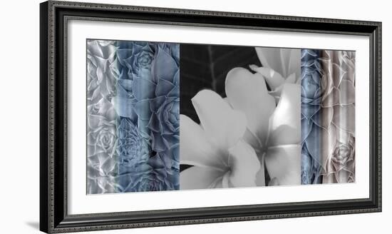 Exotica Frangipani-Tony Koukos-Framed Giclee Print