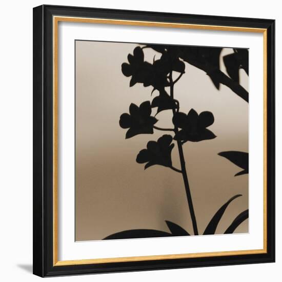 Exotica II-Tony Koukos-Framed Giclee Print