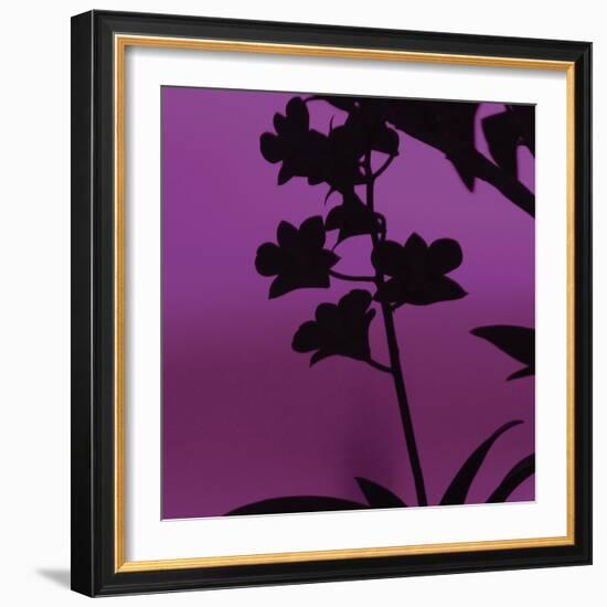 Exotica IV-Tony Koukos-Framed Art Print