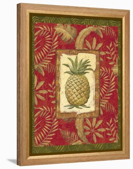 Exotica Pineapple-Charlene Audrey-Framed Stretched Canvas