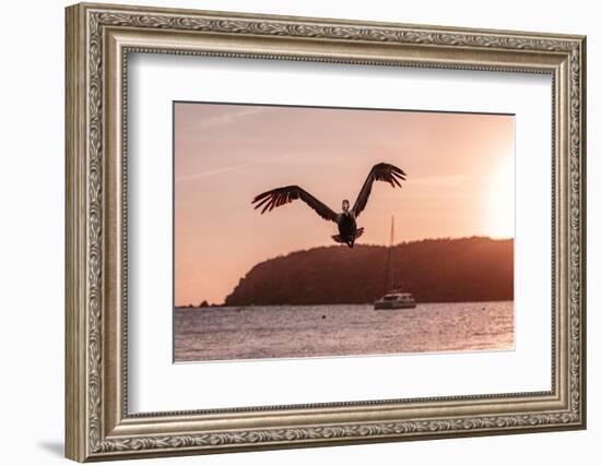 Expand Your Wings-Belinda Shi-Framed Photographic Print