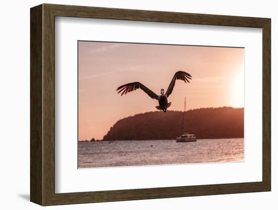 Expand Your Wings-Belinda Shi-Framed Photographic Print