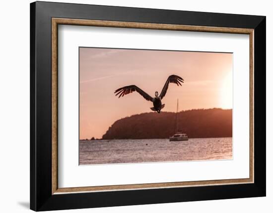 Expand Your Wings-Belinda Shi-Framed Photographic Print