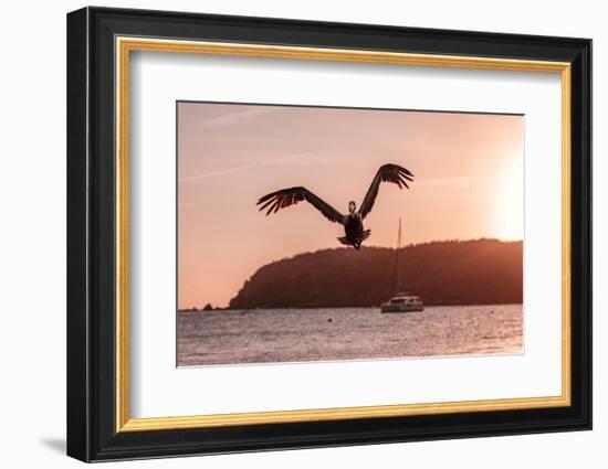 Expand Your Wings-Belinda Shi-Framed Photographic Print