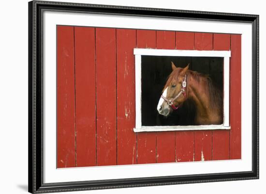 Expectations-Bill Coleman-Framed Giclee Print