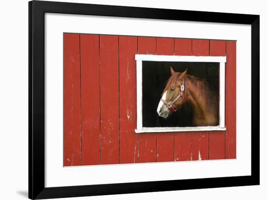 Expectations-Bill Coleman-Framed Giclee Print
