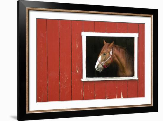 Expectations-Bill Coleman-Framed Giclee Print