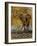 Expedition I-Patricia Pinto-Framed Art Print