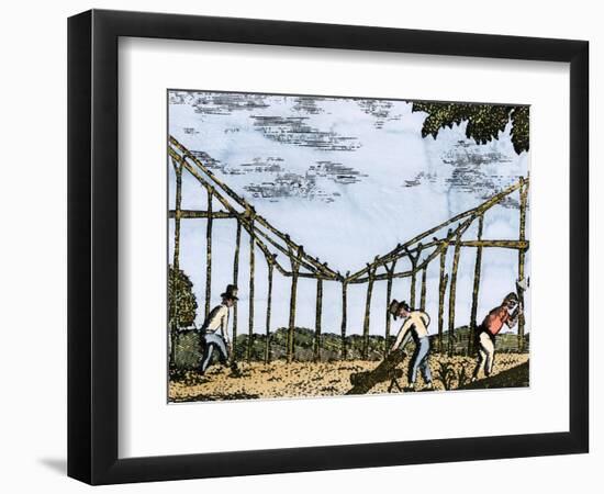 Expedition Meriwether Lewis (1774-1809) and William Clark (1770-1838), 1804 to 1806, First Crossing-null-Framed Giclee Print