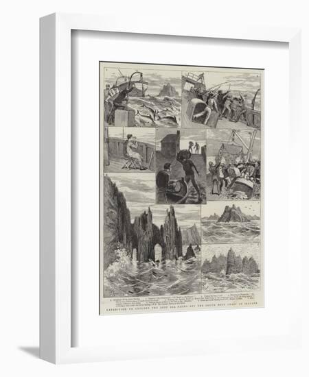 Expedition to Explore the Deep Sea Fauna Off the South West Coast of Ireland-Adrien Emmanuel Marie-Framed Giclee Print