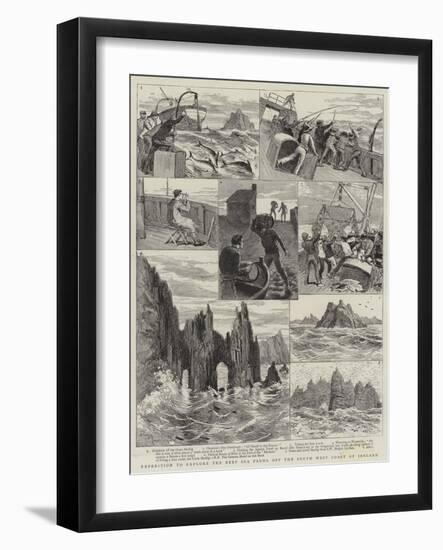 Expedition to Explore the Deep Sea Fauna Off the South West Coast of Ireland-Adrien Emmanuel Marie-Framed Giclee Print