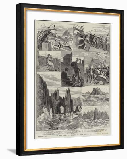 Expedition to Explore the Deep Sea Fauna Off the South West Coast of Ireland-Adrien Emmanuel Marie-Framed Giclee Print