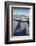 Expedition Yacht, Svalbard, Norway-Paul Souders-Framed Photographic Print