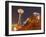 Experience Music Project (EMP) with Space Needle, Seattle, Washington, USA-Walter Bibikow-Framed Photographic Print