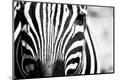 Premium Photographic Print