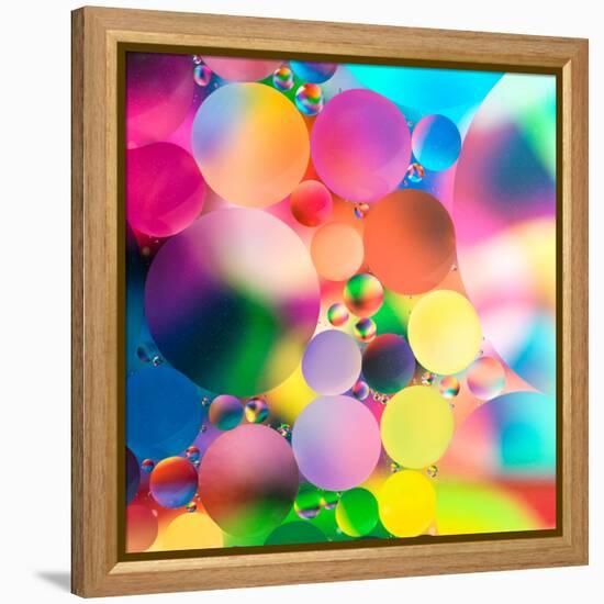 Experiment with Oil Drops on Water, Colorful Background-Abstract Oil Work-Framed Premier Image Canvas