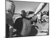 Expert Mechanics Making Repairs on a Car During the Daytona 500 Race-null-Mounted Photographic Print