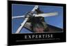 Expertise: Citation Et Affiche D'Inspiration Et Motivation-null-Mounted Photographic Print