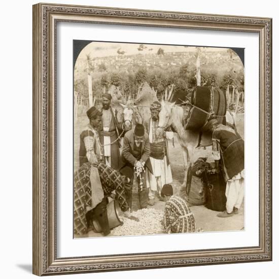 Experts Purchasing Silk Cocoons, for Export to France, Antioch, Syria, 1900s-Underwood & Underwood-Framed Photographic Print