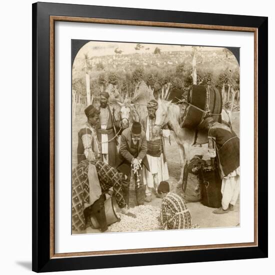 Experts Purchasing Silk Cocoons, for Export to France, Antioch, Syria, 1900s-Underwood & Underwood-Framed Photographic Print