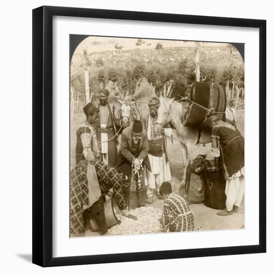 Experts Purchasing Silk Cocoons, for Export to France, Antioch, Syria, 1900s-Underwood & Underwood-Framed Photographic Print