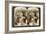 Experts Purchasing Silk Cocoons, for Export to France, Antioch, Syria, 1900s-Underwood & Underwood-Framed Giclee Print