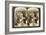 Experts Purchasing Silk Cocoons, for Export to France, Antioch, Syria, 1900s-Underwood & Underwood-Framed Giclee Print