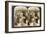 Experts Purchasing Silk Cocoons, for Export to France, Antioch, Syria, 1900s-Underwood & Underwood-Framed Giclee Print