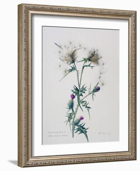 Exploding Thistle, 1999-Rebecca John-Framed Giclee Print