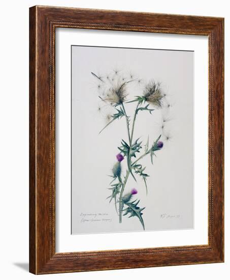 Exploding Thistle, 1999-Rebecca John-Framed Giclee Print