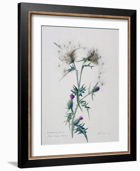 Exploding Thistle, 1999-Rebecca John-Framed Giclee Print