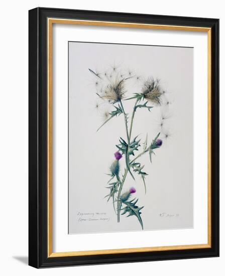 Exploding Thistle, 1999-Rebecca John-Framed Giclee Print