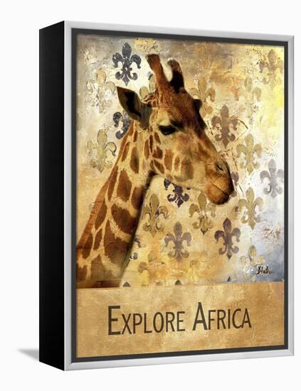 Explore Africa-Patricia Pinto-Framed Stretched Canvas