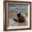 Explore: Child in the Rain-Nicole Katano-Framed Photo