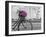 Explore-Assaf Frank-Framed Giclee Print