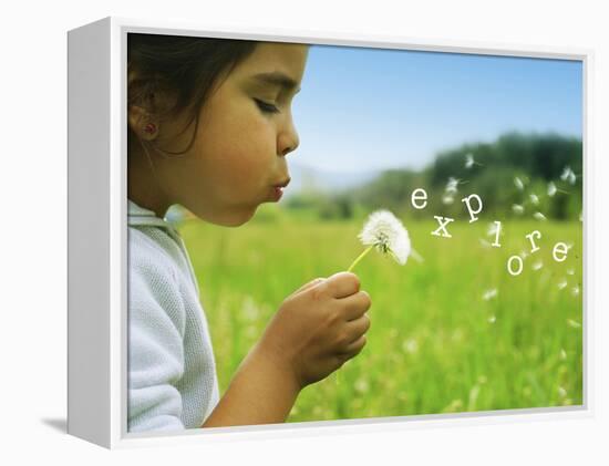 Explore-null-Framed Stretched Canvas