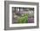 Explosion of Springtime Color, Portland, Oregon, USA-Jaynes Gallery-Framed Photographic Print