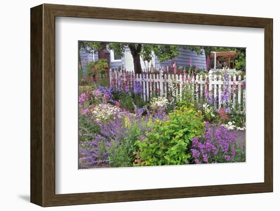 Explosion of Springtime Color, Portland, Oregon, USA-Jaynes Gallery-Framed Photographic Print