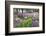 Explosion of Springtime Color, Portland, Oregon, USA-Jaynes Gallery-Framed Photographic Print